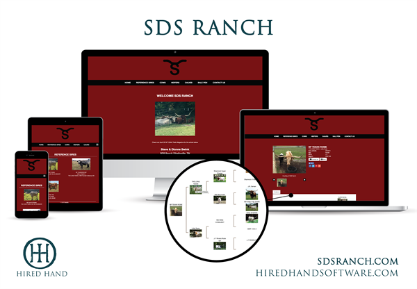 SDSRanch_WebsiteLaunch-01 SDSRanch_WebsiteLaunch-01