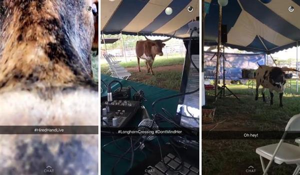 Snapchat Samples Snapchat Samples