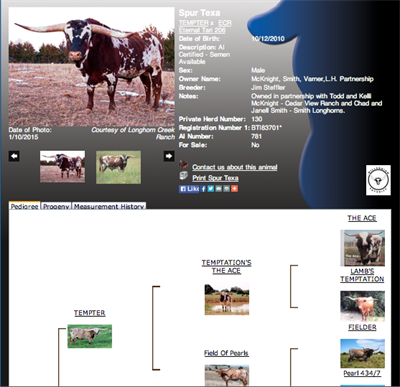 Spur Texa page Spur Texa page