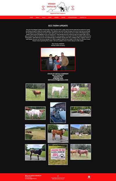stickley-cattle-co_homepage stickley-cattle-co_homepage
