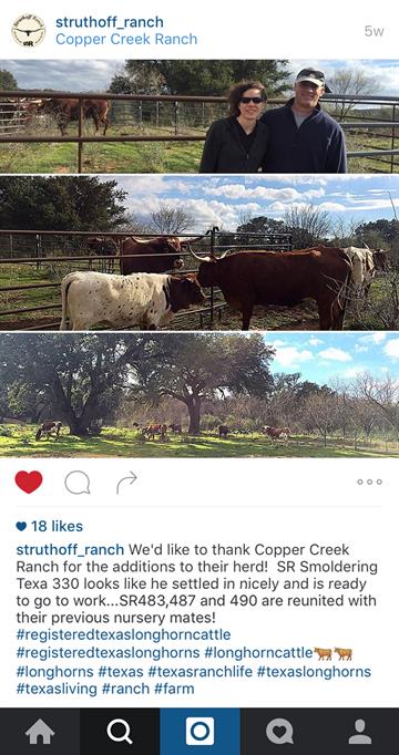 Struthoff Ranch