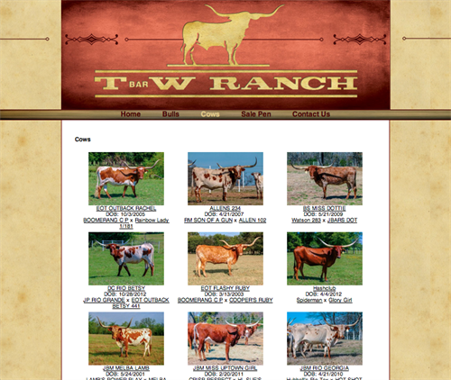 T Bar W Ranch - herd