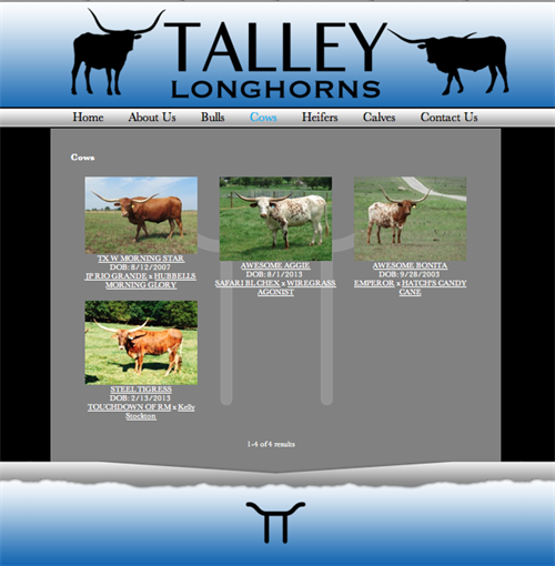 Talley Longhorns-herd