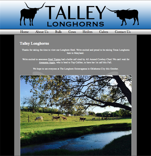 Talley Longhorns-home