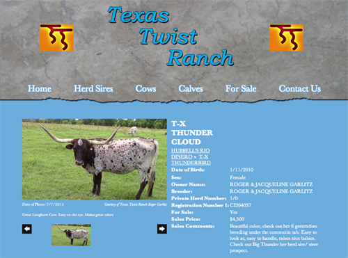 Texas Twist Ranch - animal