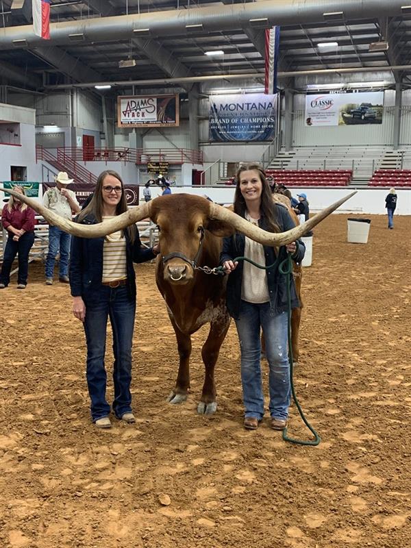 TrophySteer TrophySteer