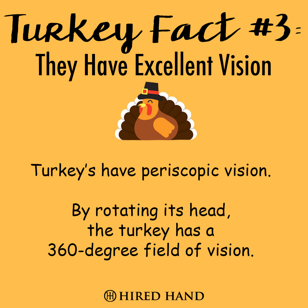 TurkeyFact3