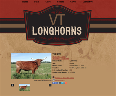 VT Longhorns Animal