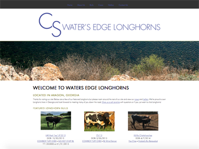 Water's Edge Longhorns Water's Edge Longhorns
