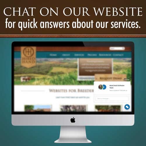 website help chat website help chat