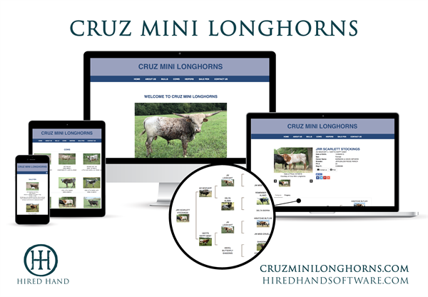 WebsiteLaunch_CruzMiniLonghorns-01 WebsiteLaunch_CruzMiniLonghorns-01