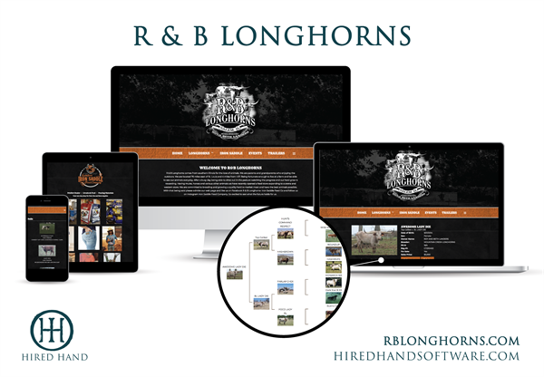 WebsiteLaunch_RBLonghorns-01 WebsiteLaunch_RBLonghorns-01