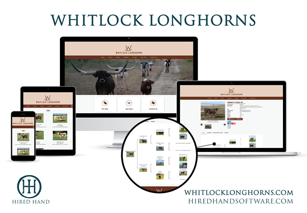 Whitlock_WebsiteLaunch-01
