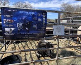 Luebbering, Legacy Sale 2019